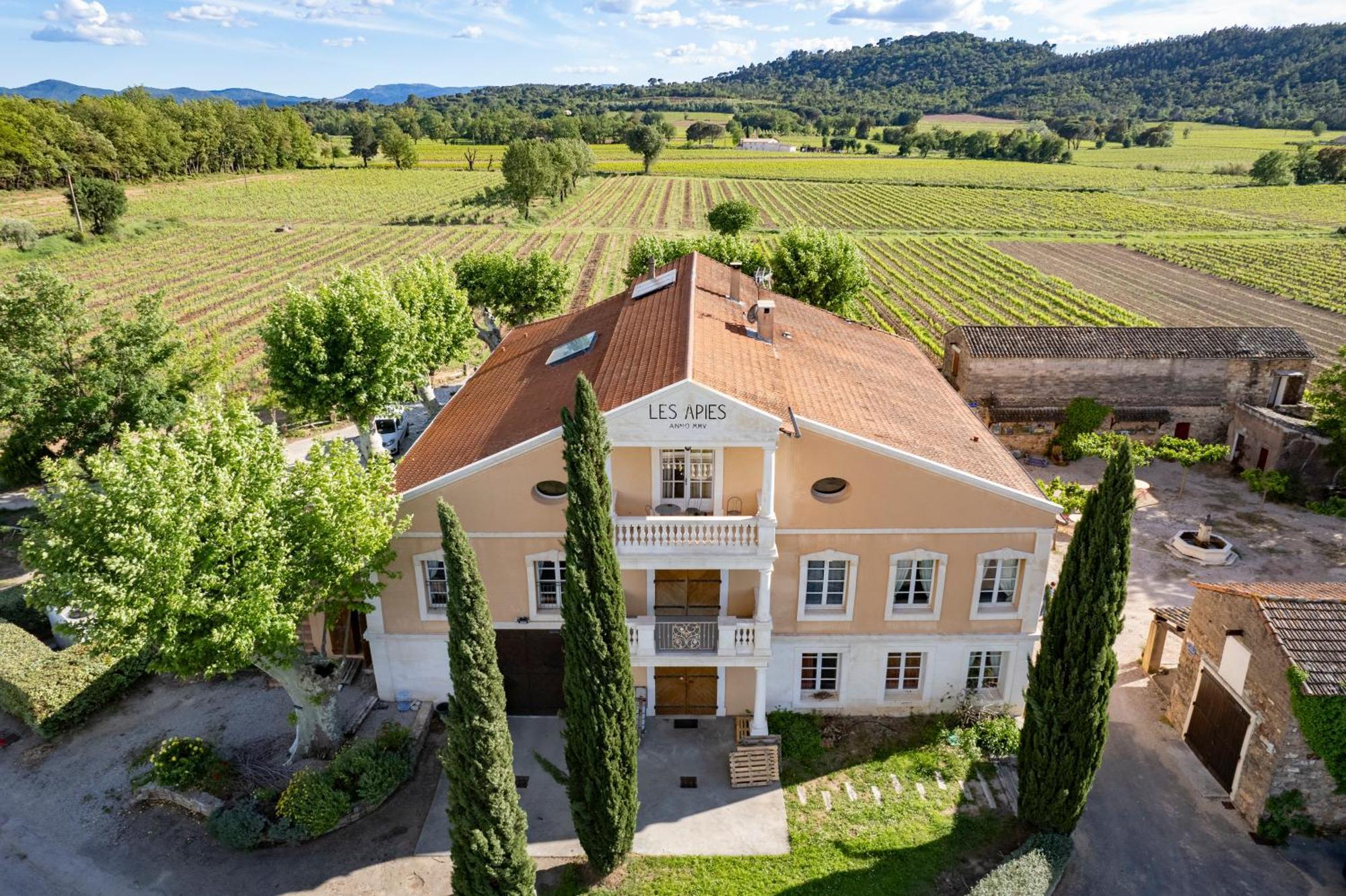 Gite Vert D'Olive Au Milieu Des Vignes - Chateau Les Apies Les Arcs-sur-Argens Esterno foto