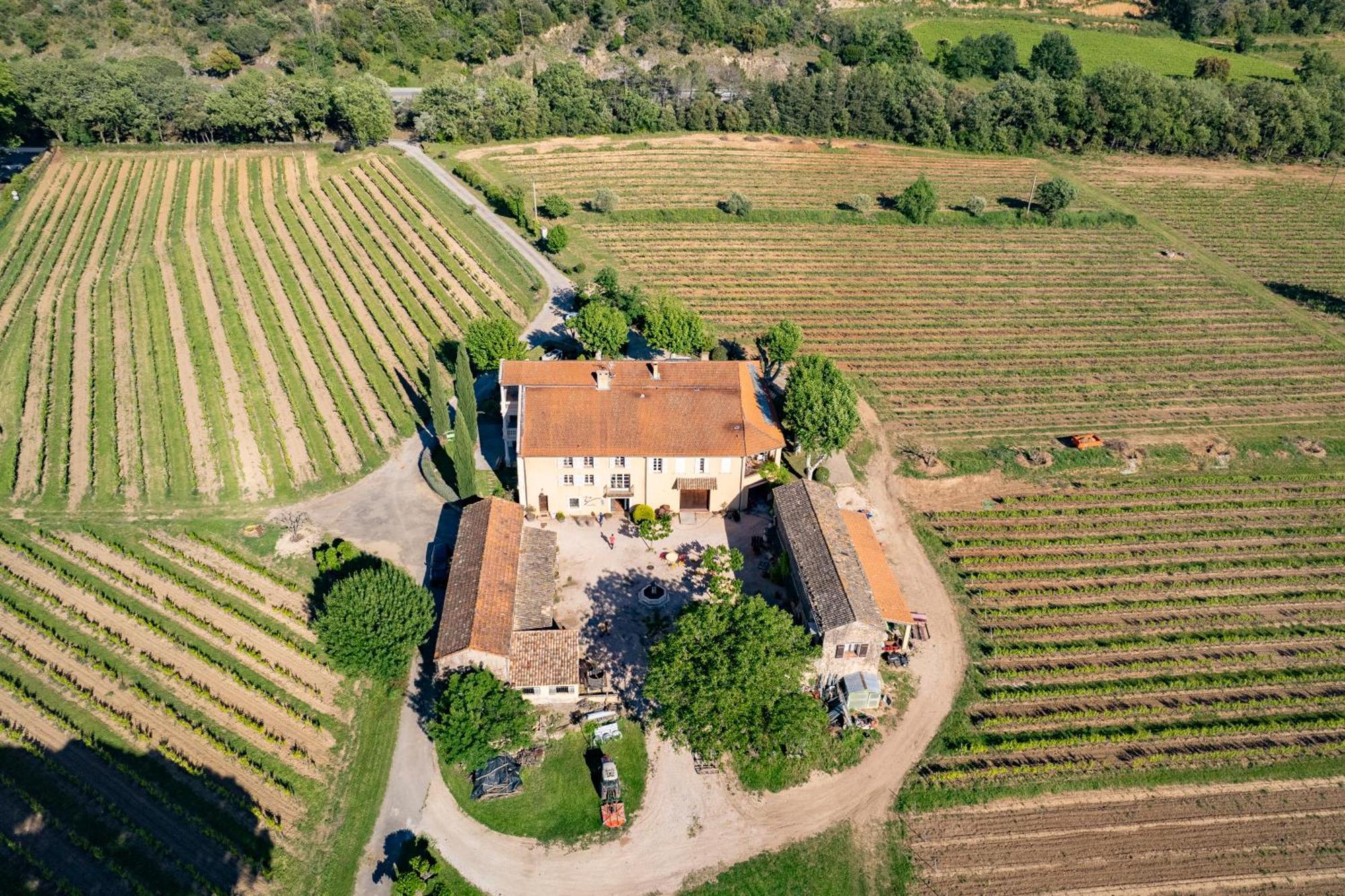 Gite Vert D'Olive Au Milieu Des Vignes - Chateau Les Apies Les Arcs-sur-Argens Esterno foto
